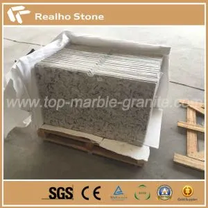 Engineered Leopard Skin Project und custom Granite Countertop